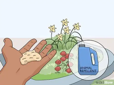 Image titled Treat Your Yard for Fleas Step 9