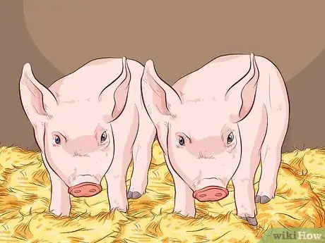 Image titled Raise Pigs for Meat Step 6