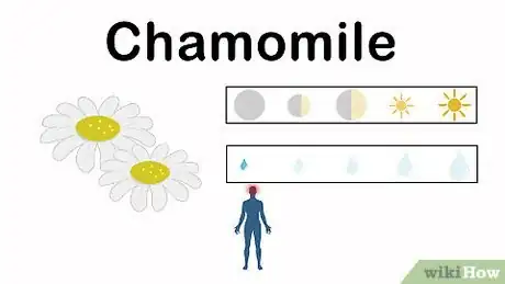 Image titled Grow an Herbal Tea Garden Step 10