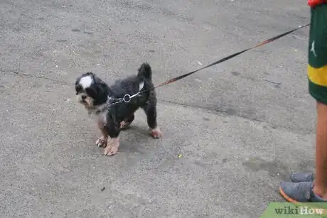 Image titled Housebreak Your Dog Using Crate Training Step 7