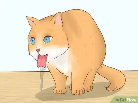 Image titled Give Codeine to Cats in Pain Step 9