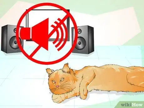 Image titled Comfort a Dying Cat Step 1