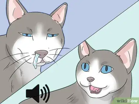 Image titled Deal with a Snoring Cat Step 4