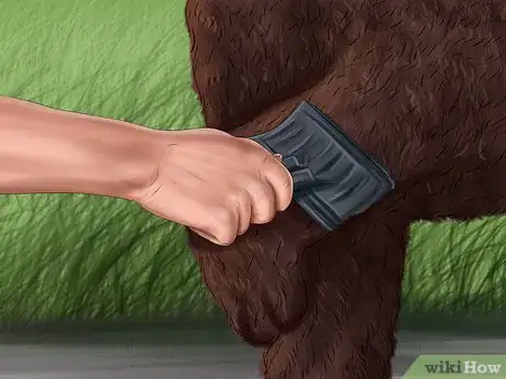 Image titled Brush an Irish Water Spaniel Step 7