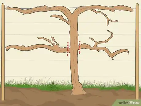 Image titled Prune Grape Vines for Winter Step 8