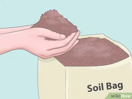 Image titled Grow Sage Step 2