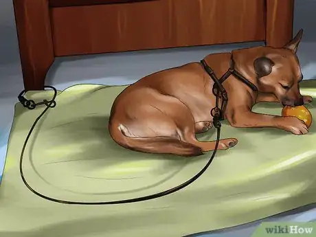 Image titled Housebreak a Dog with Positive Reinforcement Step 8