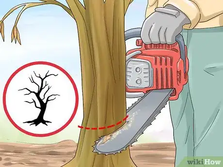 Image titled Prune a Dappled Willow Step 7