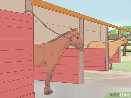 Image titled Win a Horse Event Step 14