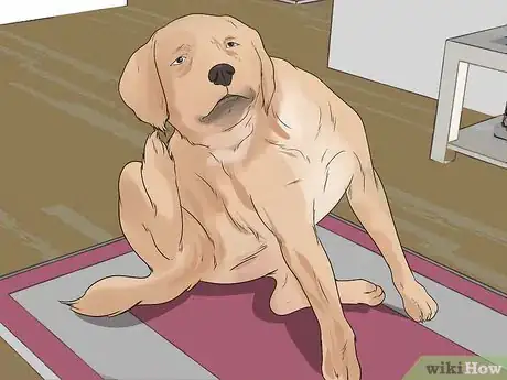 Image titled Get Your Golden Retriever to Shed Less Step 6