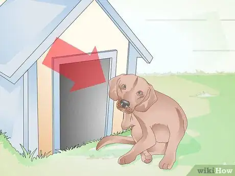 Image titled Identify Canine Ear Mites Step 1