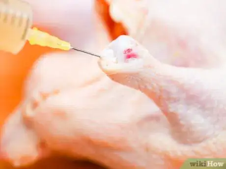 Image titled Inject a Whole Chicken Step 9