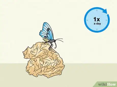 Image titled Make a Butterfly Feeder Step 5