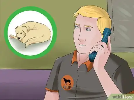 Image titled Save a Dog Whose Owner Is Relocating Step 7