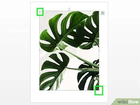 Image titled Add Images to a Microsoft Word Document Step 7
