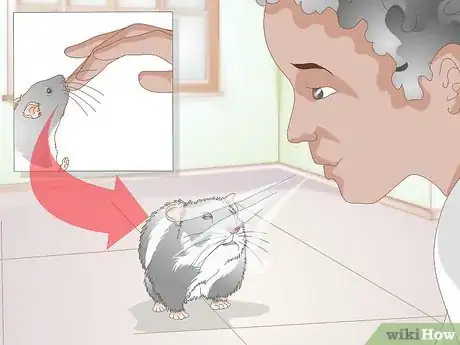 Image titled Deal With a Mean Hamster Step 13