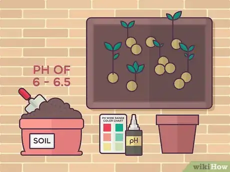 Image titled Grow Tea Step 6