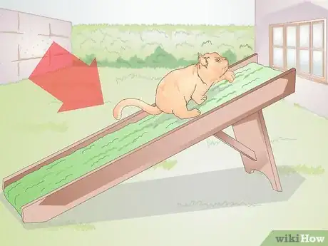 Image titled Buy Pet Training Supplies Step 8