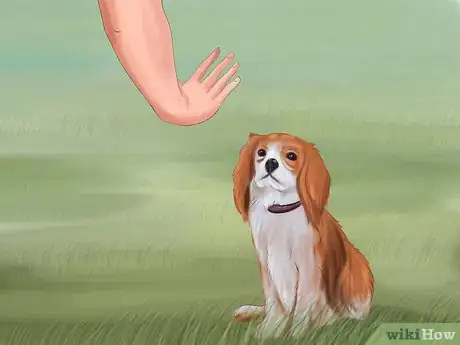 Image titled Teach Your Dog to Sit Step 3