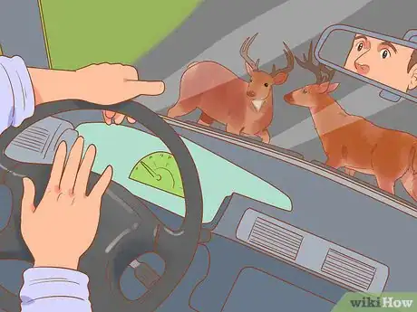 Image titled Break Up a Deer Fight Step 4