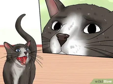 Image titled Treat Thunderstorm Anxiety in Cats Step 13