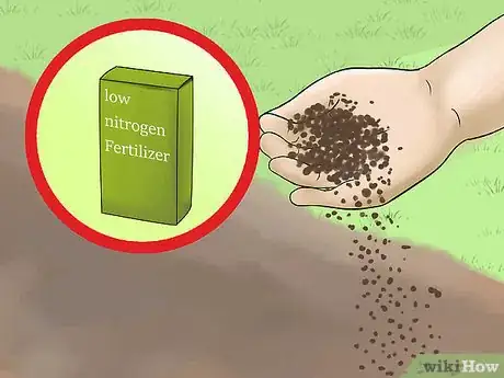 Image titled Replace Your Lawn with Groundcovers Step 8