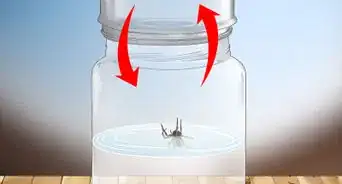 Set Spider Traps