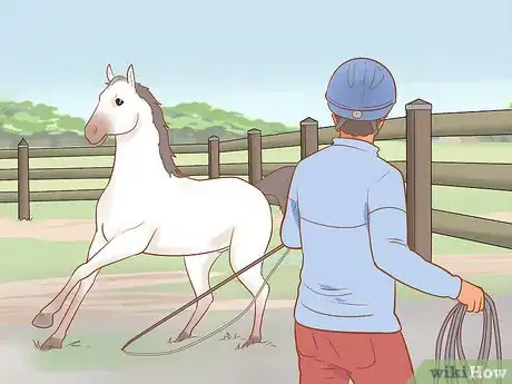 Image titled Handle and Control a Stallion Step 18