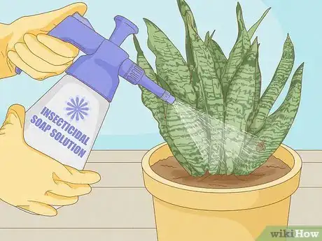 Image titled Get Rid of Thrips Indoors Step 5