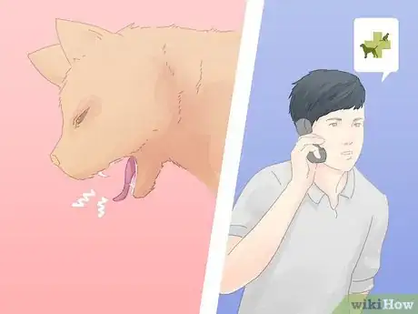 Image titled Save a Choking Cat Step 6