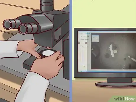 Image titled Date Fossils Step 2