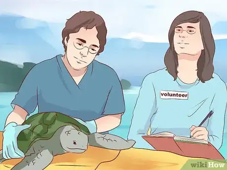 Image titled Become a Marine Biologist Step 8