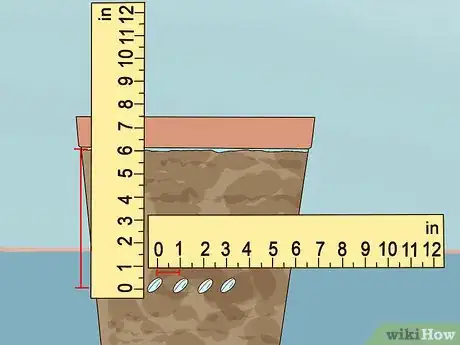 Image titled Grow Lettuce Indoors Step 3