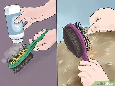 Image titled Take Care of Your Long Haired Maine Coon Step 11