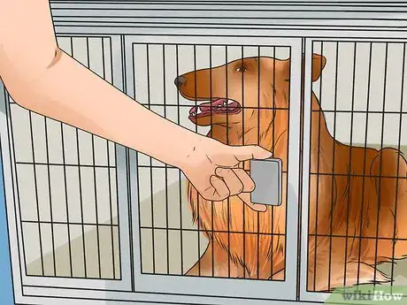 Image titled Keep Your Dog Comfortable Indoors Step 3