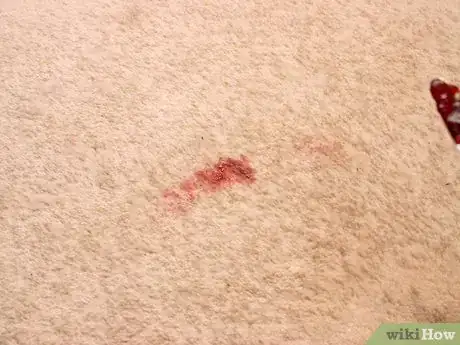 Image titled Remove Jam or Jelly Stains from Carpet Step 2