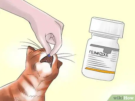 Image titled Treat Chronic Vomiting in Cats Step 12