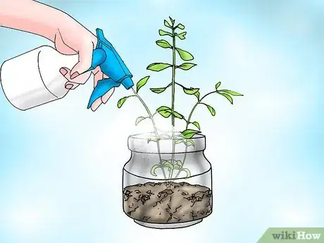 Image titled Grow Bacopa Plants Step 14