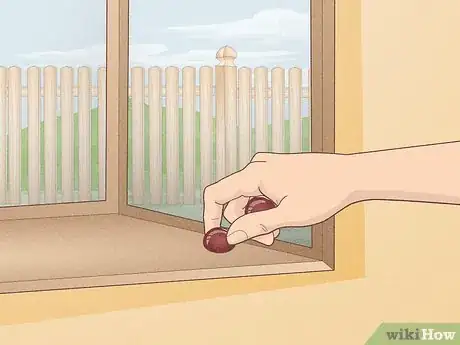 Image titled Keep Spiders Away Step 12