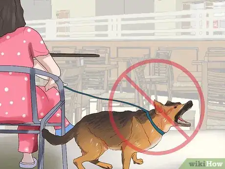 Image titled Dine Out with Your Dog Step 9