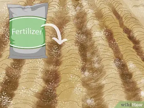 Image titled Use Crop Rotation in Gardening Step 7