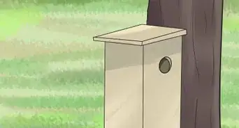 Keep Animals out of Your Attic