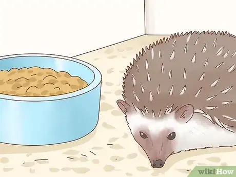Image titled Take Care of a Hedgehog Step 21