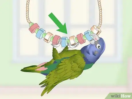 Image titled Keep a Pionus Parrot Entertained Step 5
