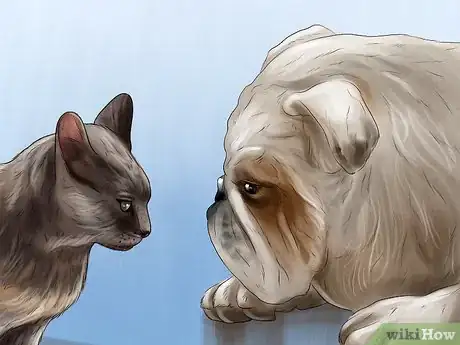 Image titled Adopt a Non‐Sporting Breed Step 15