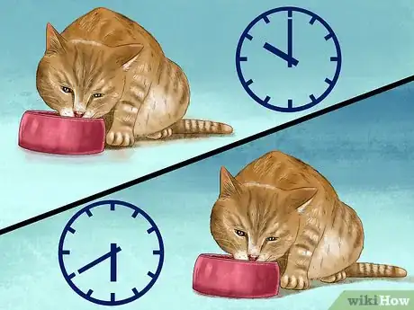 Image titled Feed a Fussy Cat Step 2