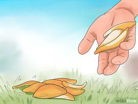 Image titled Prevent Cats from Pooping in the Garden Step 6