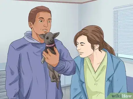 Image titled Diagnose Canine Eye Infections Step 4