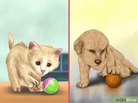 Image titled Introduce a New Puppy to the Resident Cat Step 3