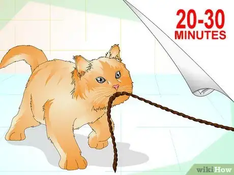 Image titled Determine if Your Cat is Overweight Step 10